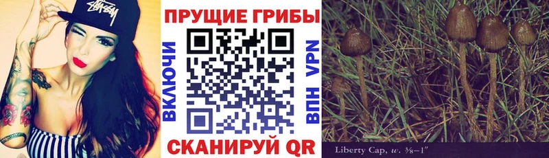 Галлюциногенные грибы Psilocybe  Белинский 